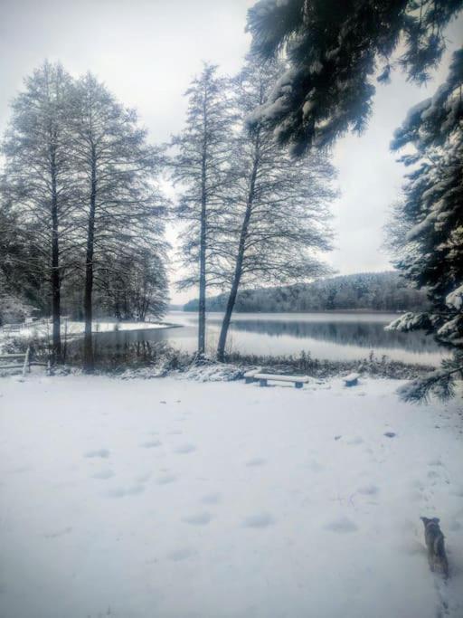 Przystanek Golubie Villa Екстериор снимка